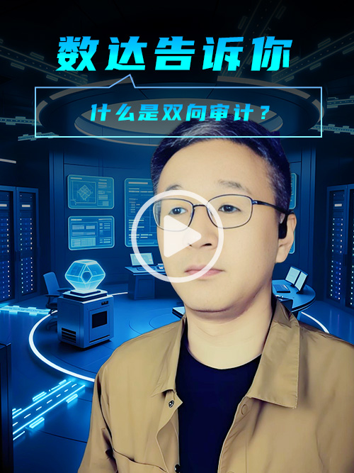 什么是双向审计？