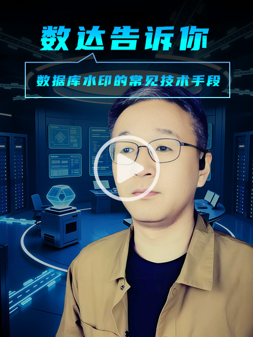 数据库水印的常见技术手段